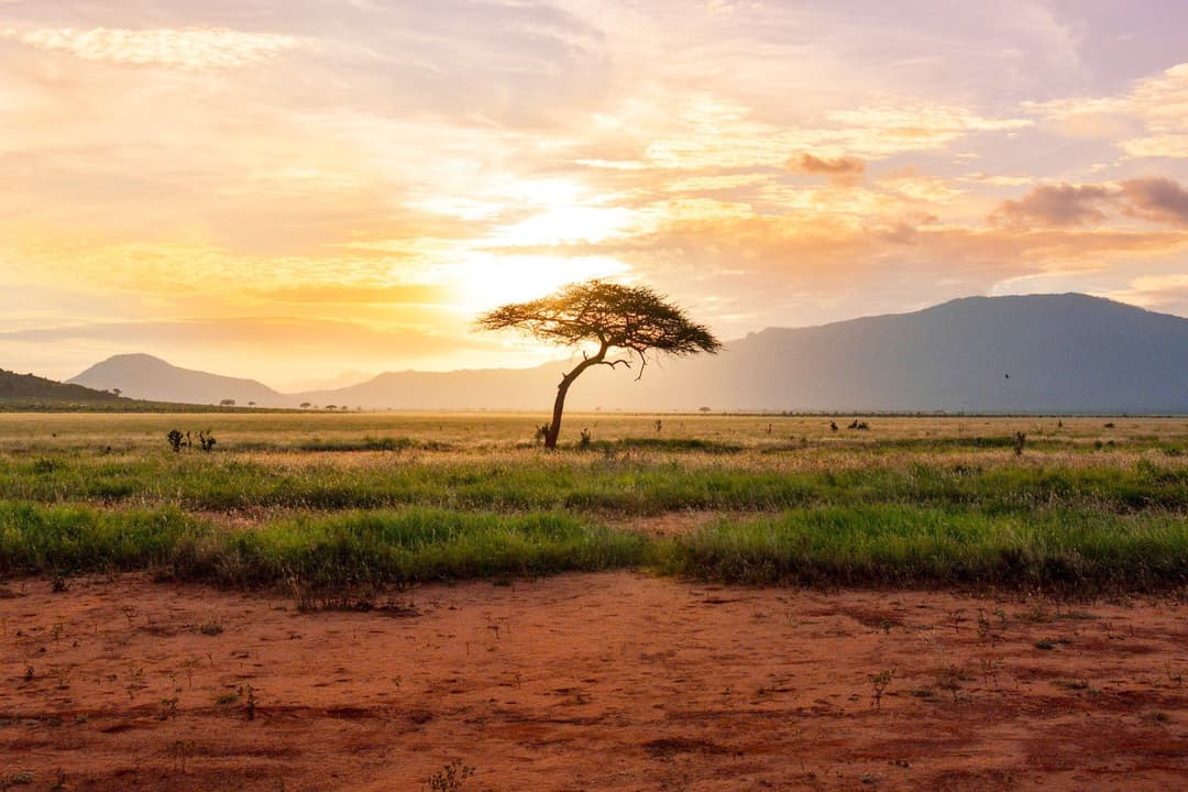 Kenya