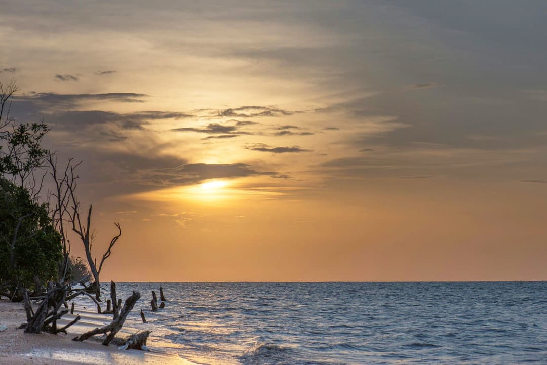 Suriname